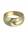 Neo metallic ring